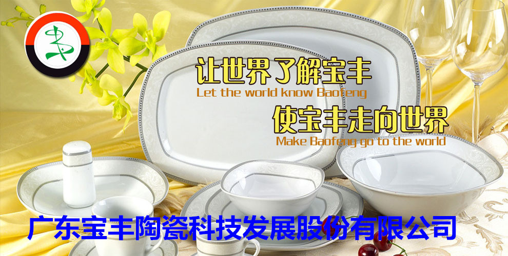廣東寶豐陶瓷科技發(fā)展股份有限公司成立于2003年，占地總面積5萬(wàn)平方米，建筑面積3萬(wàn)平方米，2004年10月建成投產(chǎn)?，F(xiàn)擁有兩條先進(jìn)遂道窯生產(chǎn)線(xiàn),主要生產(chǎn)中高檔日用陶瓷，產(chǎn)品遠(yuǎn)銷(xiāo)歐美，東南亞等國(guó)家。
